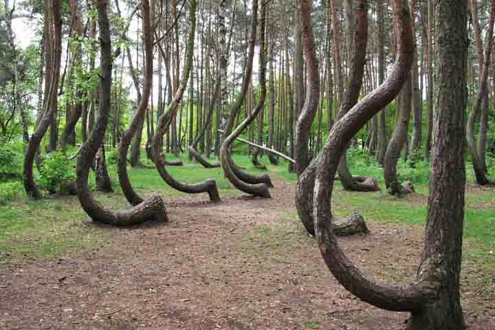 راهنمای سفر به کالینینگراد برای مسافران جام‌ جهانی ۶