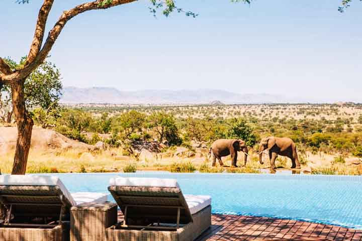 خاص ترین جاهای گردشگری دنیا استخرهایی در دل طبیعت ۱ Four Seasons Lodge, Serengeti