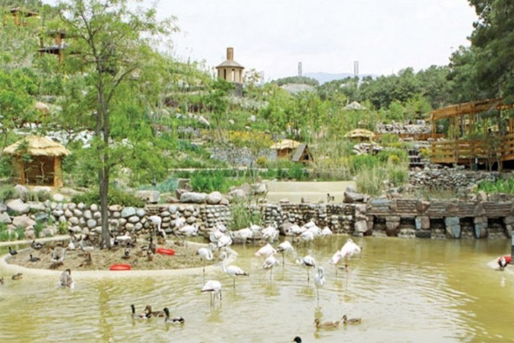 باغ پرندگان | مراکز تفریحی تهران