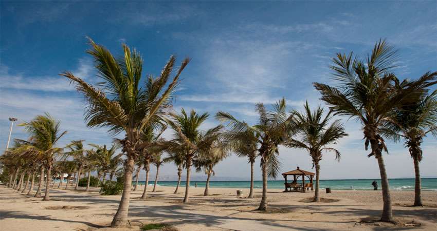 ساحل درختان نارگیل، مقصدی کمترشناخته‌شده در میان مراکز تفریحی کیش 