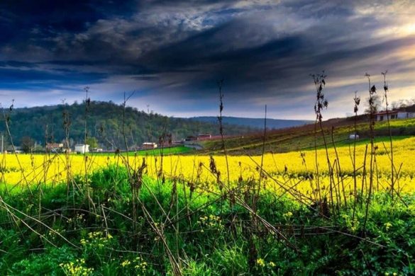جاهای دیدنی نکا ؛ زیبای تکتاز مازندران را بیشتر بشناسید - سفرزون