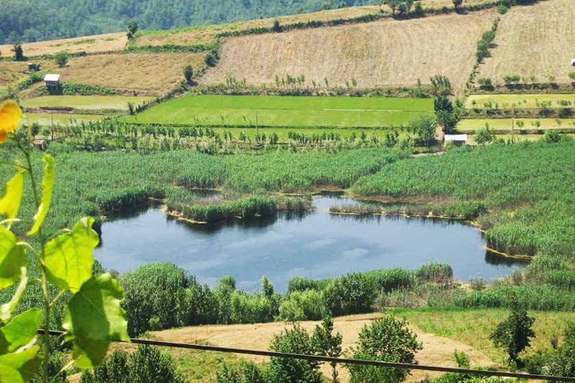 جاهای دیدنی نکا ؛ زیبای تکتاز مازندران را بیشتر بشناسید - سفرزون