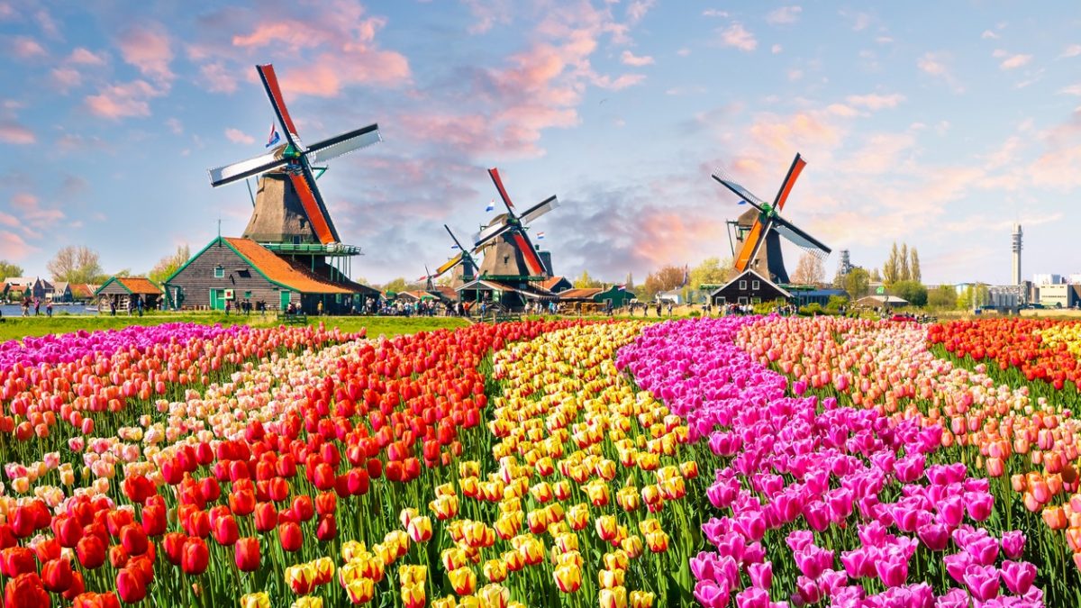 معرفی ۲۴ تا از معروف ترین جاهای دیدنی آمستردام در سال ۲۰۲۳ + عکس