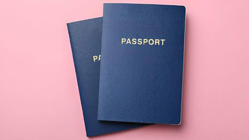 مزایای پیکاپ پاسپورت با نیلگام سفر: فراتر از صرفه‌جویی در زمان و هزینه